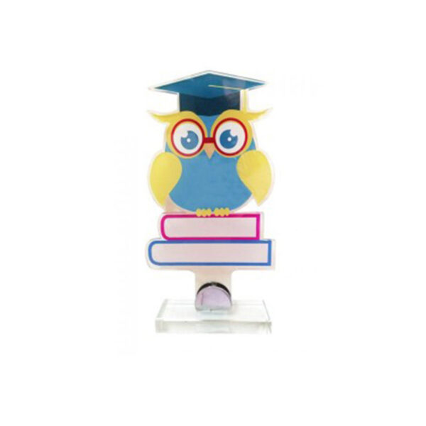 OWL PLEXIGLASS AWARD – 28CM CUSTOM ACADEMIC TROPHY - Image 1