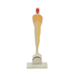 ARTISTIC MODERN OSCAR PLEXIGLASS AWARD 29CM