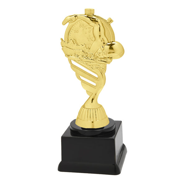 SWIMMING TROPHY 16CM (P410.01+N11.30) - Image 1