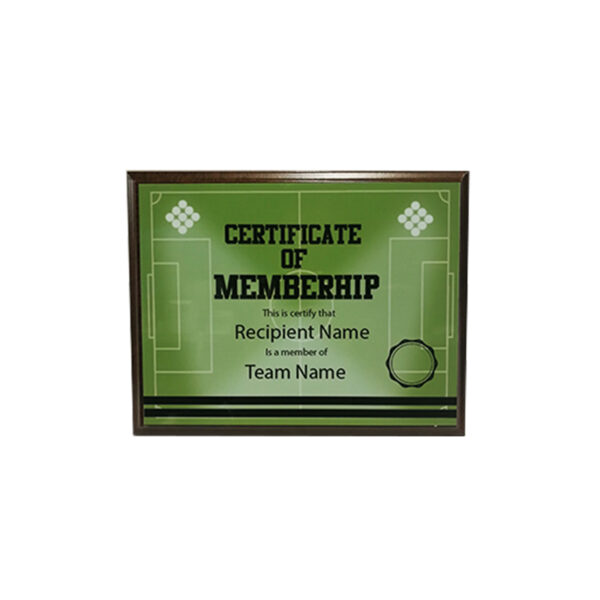 FOOTBALL PITCH WOODEN PLAQUE 25.5X20CM – CUSTOM SPORTS AWARD - Image 1