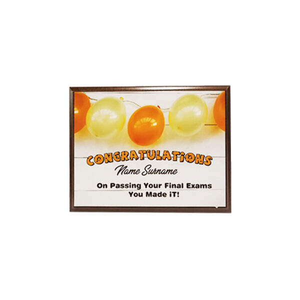 BALLOON DESIGN WOODEN PLAQUE 25.5CMX20CM - Image 1