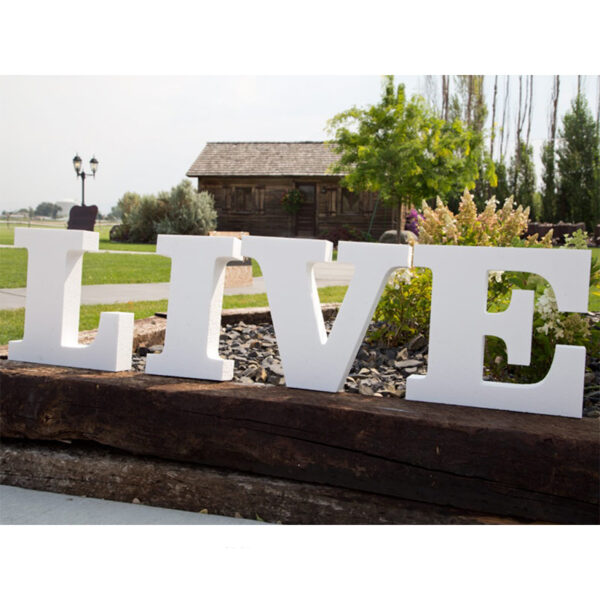 PERSONALISED PLEXIGLASS LETTERS – 25CM CUSTOM ACRYLIC (PRICE PER LETTER) - Image 1