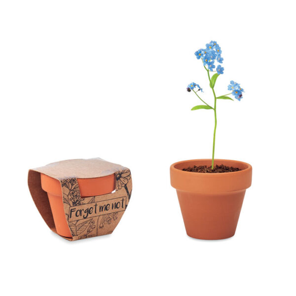 TERRACOTTA POT WITH SEEDS - Image 1