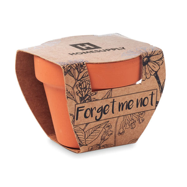 TERRACOTTA POT WITH SEEDS - Image 2