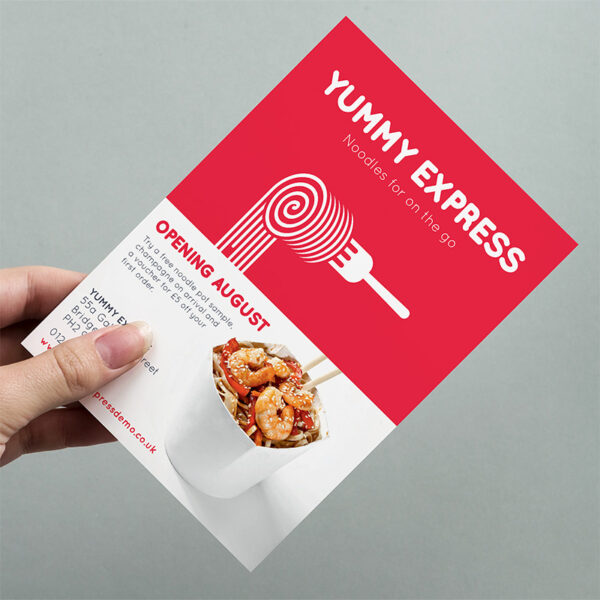FLYERS A5 ONE SIDED (PACK OF 250) - Image 1