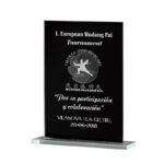 OCTAGONAL GLASS CRYSTAL AWARD – 14.5CM WITH ELEGANT BLUE ACCENTS