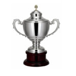 STAR LINE TROPHY 30CM (PRINTING INCLUDED)