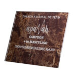 PREMIUM CRYSTAL AWARD – 19 X 14CM (OUTLET) | ELEGANT RECOGNITION TROPHY
