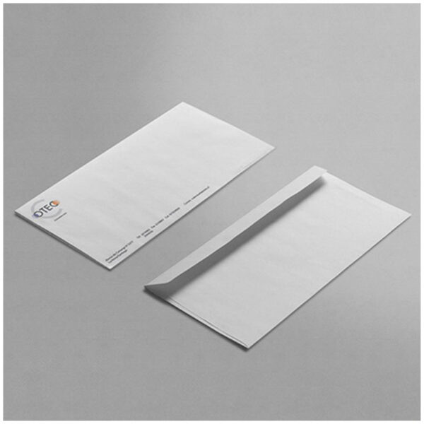 DL ENVELOPES (PACK OF 250) - Image 1