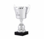 STAR LINE TROPHY 30CM (PRINTING INCLUDED)