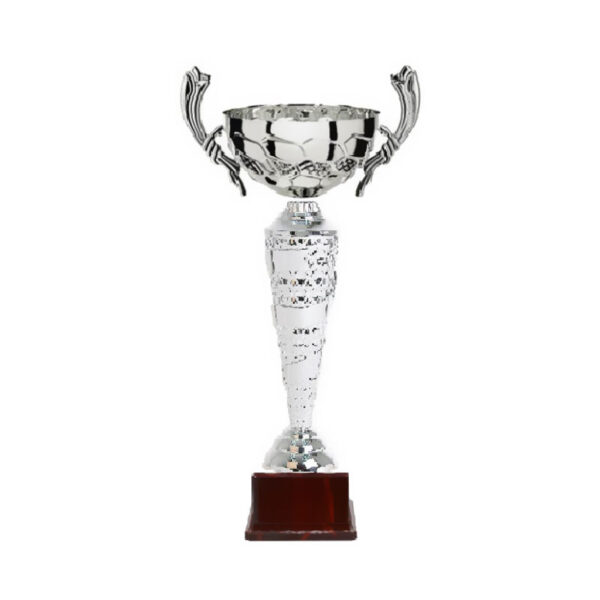 STAR LINE CUP TROPHY 34CM - Image 1