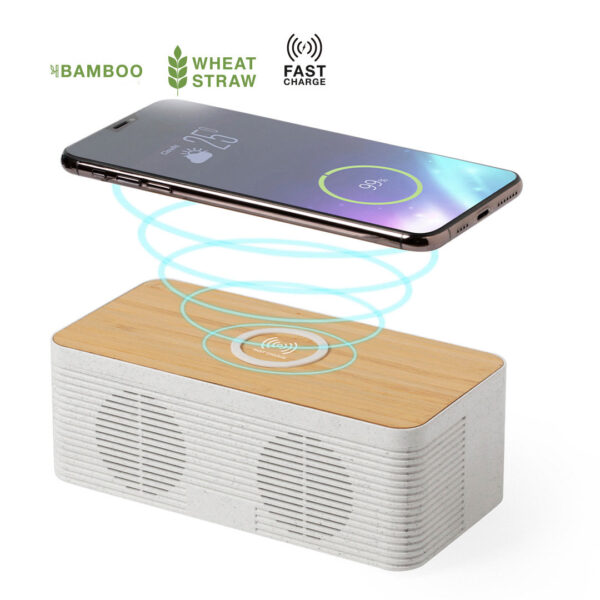 CHARGER SPEAKER TRECAM IN NATURAL LINE - Image 1