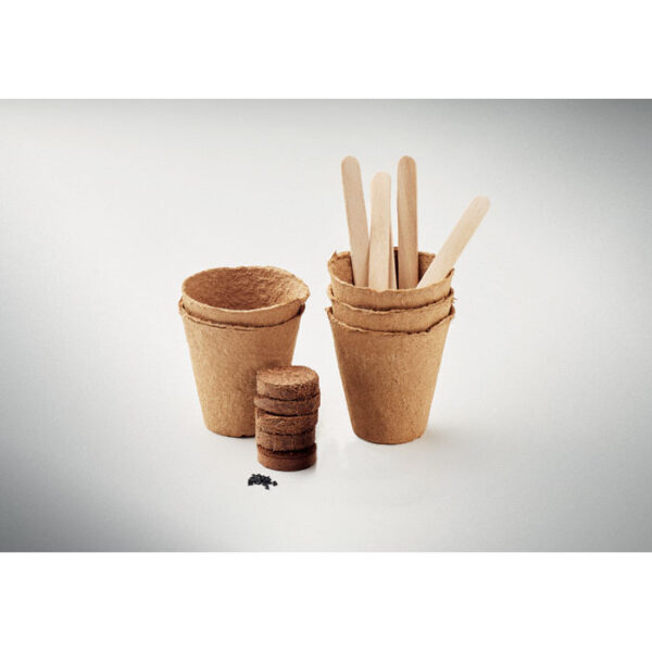 FLOWERS GROWING KIT GIFT - Image 2