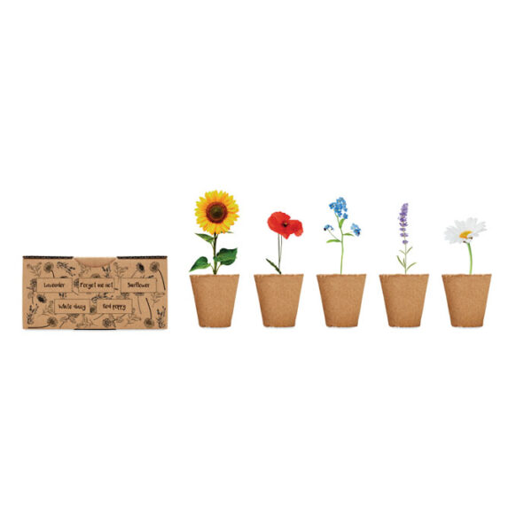 FLOWERS GROWING KIT GIFT - Image 3