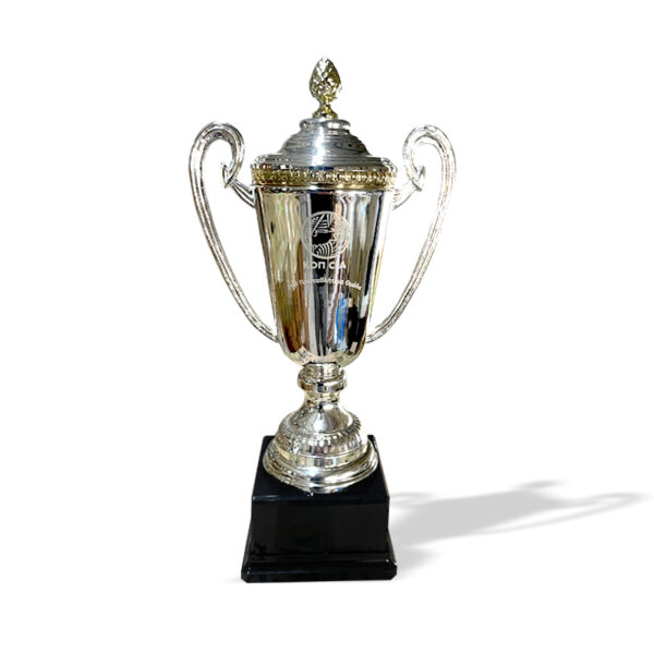 CHAMPIONSHIP TROPHY REPLICA 40CM - Image 1