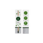 ECOLOGICAL SPROUT PENCIL - Image 7