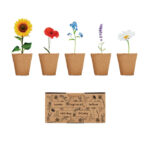 FLOWERS GROWING KIT GIFT - Image 6