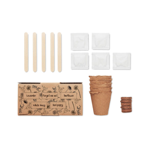 FLOWERS GROWING KIT GIFT - Image 7