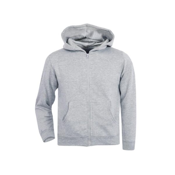 KIDS ZIPPED HOODIE IN GREY - Image 1