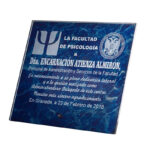 PREMIUM CRYSTAL AWARD 19CM