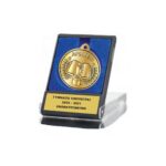 GRADUATION DISTINCTION AWARD (EPA013G + 6009)