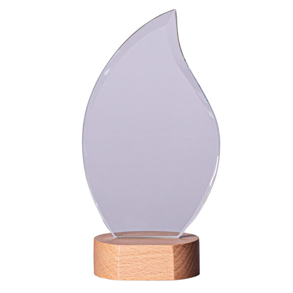 DELUXE CRYSTAL AWARD 18cm - Image 1