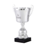 STAR LINE TROPHY 30CM (PRINTING INCLUDED) - Image 2