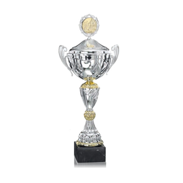 STAR LINE AWARD TROPHY 53CM - Image 2