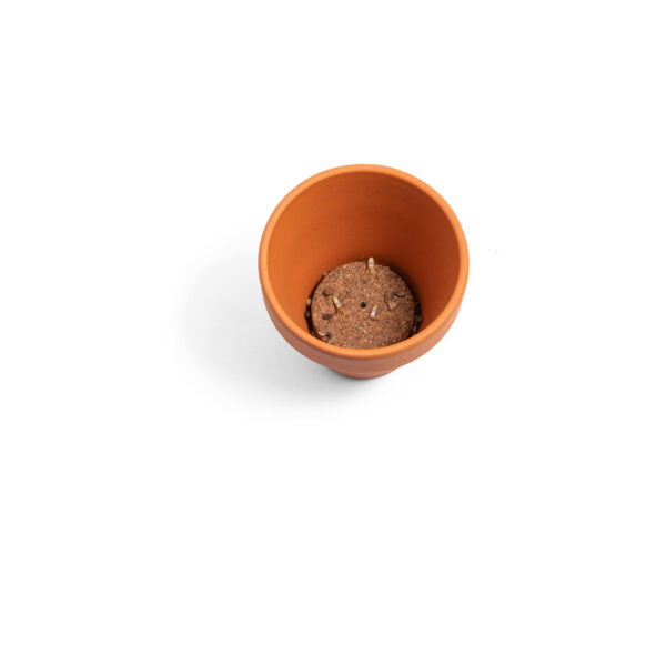 ECOTUBE 16GB USB FLASH DRIVE – CYLINDRICAL DESIGN IN RECYCLED CARDBOARD - Image 16