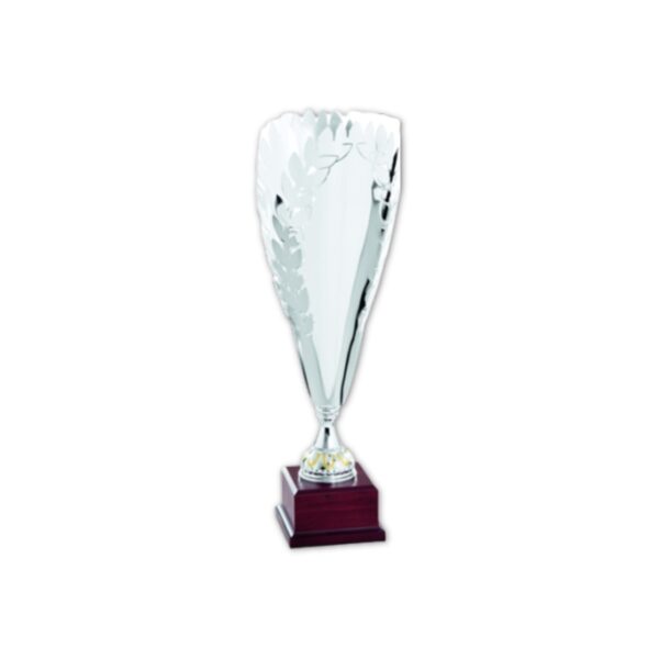 TROF.ART.14217 95x40 SILVER - Image 1