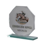 PREMIUM 15CM CRYSTAL RECOGNITION AWARD WITH GIFT BOX - Image 3