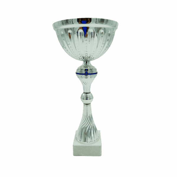 STAR LINE TROPHY 27,5CM - Image 2