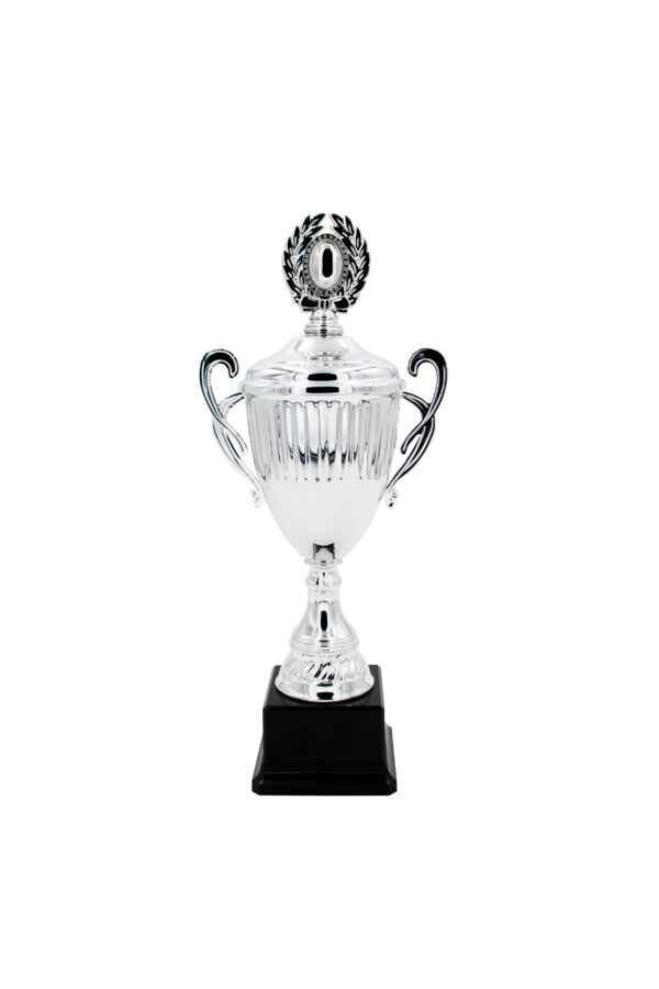 VICTORY LINE TROPHY 43CM - Image 1