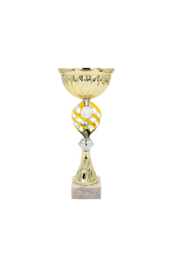 STAR LINE TROPHY AWARD 25CM - Image 1