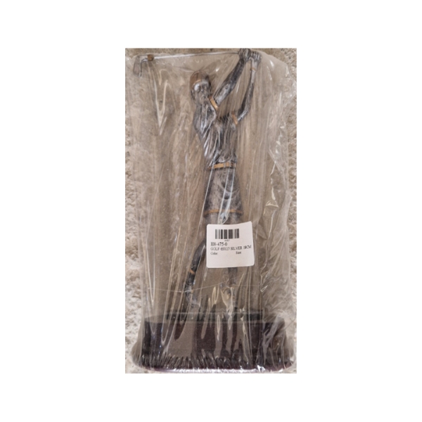 H8-475-0 GOLF 65X17 SILVER 18CM - Image 1