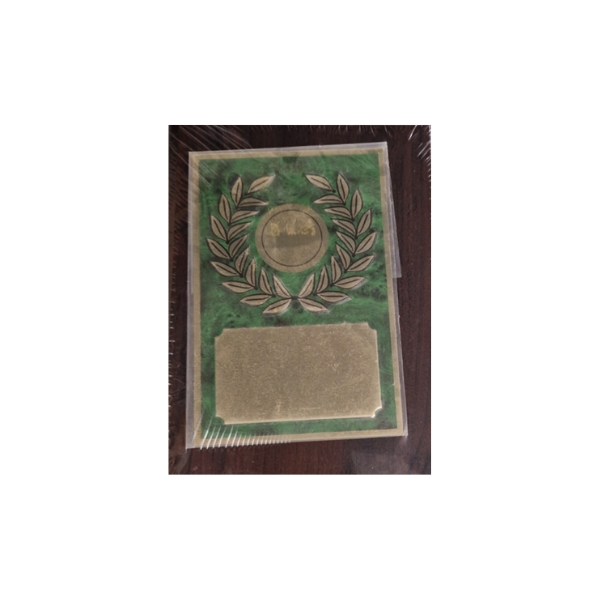 HT10117 PLAQUE - Image 1