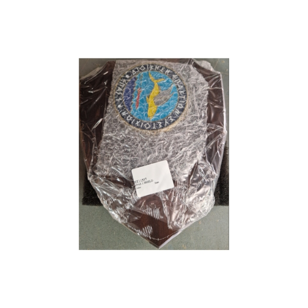 HT11537 EPAS 1 SHIELD - Image 1